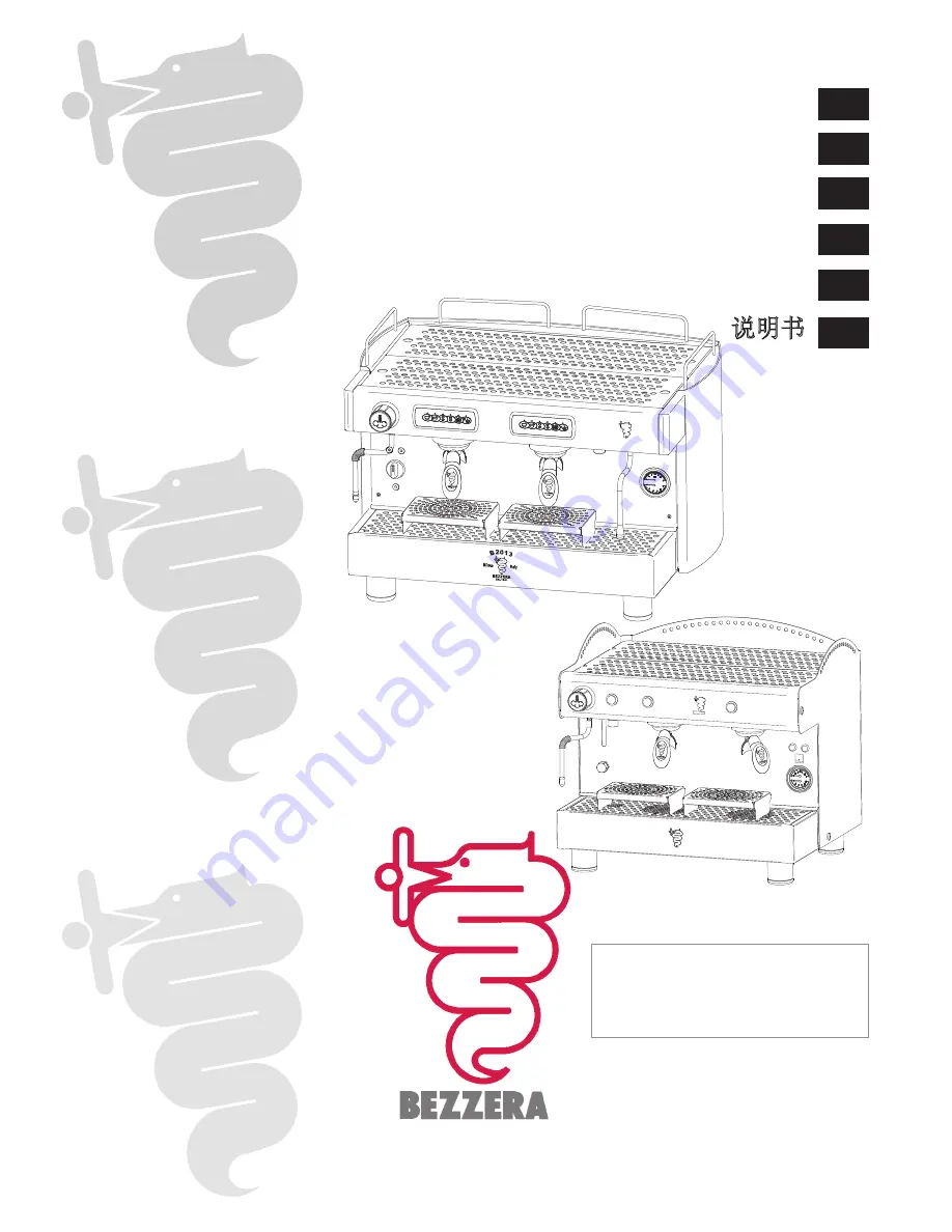 Bezzera B2013 Скачать руководство пользователя страница 1