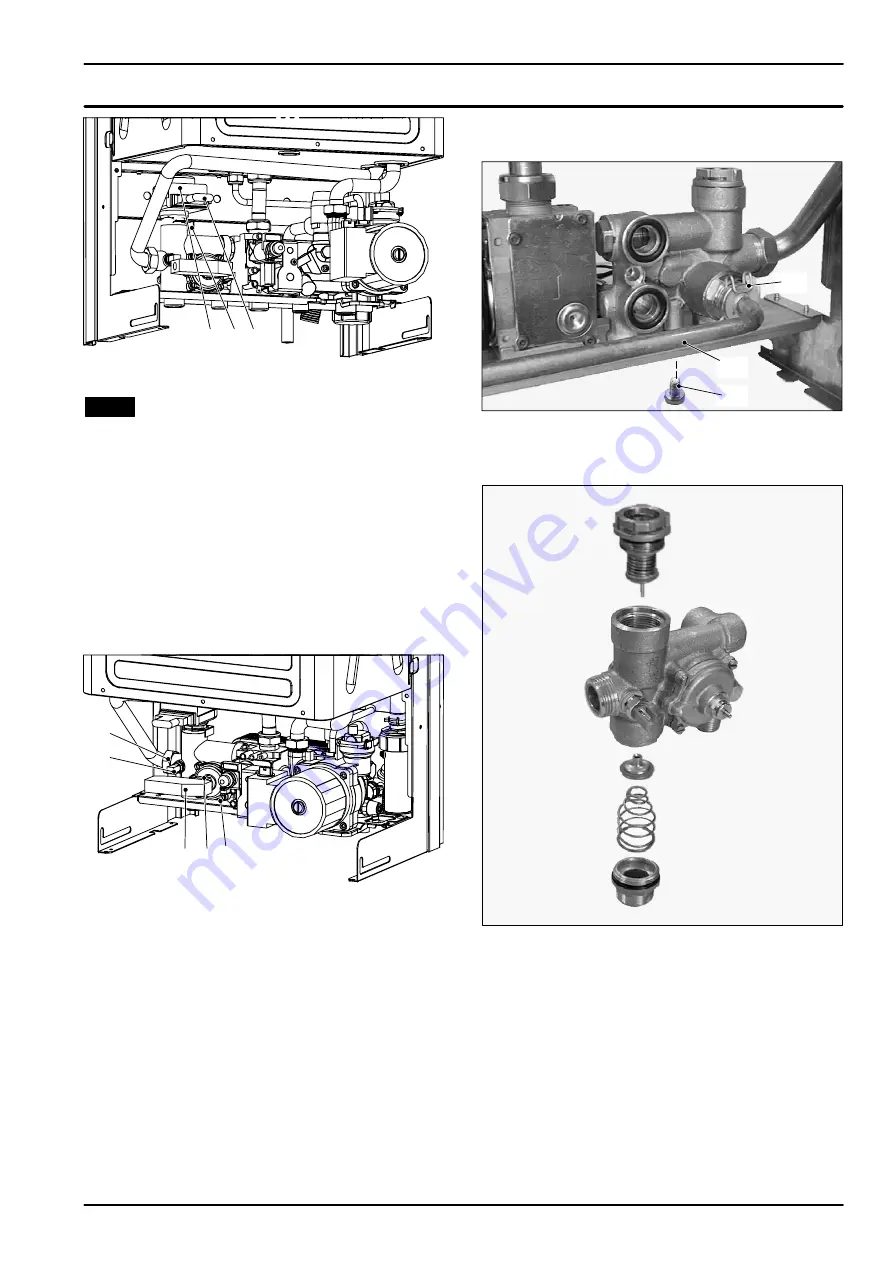 Biasi RIVA COMPACT HE M96.24SM/C Скачать руководство пользователя страница 17