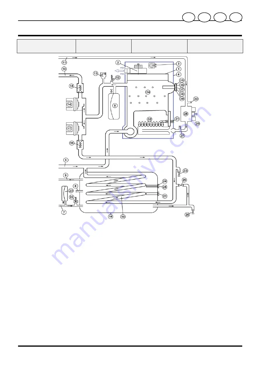 Biasi SIGMA CS 32 MAXI Technical Manual Download Page 25