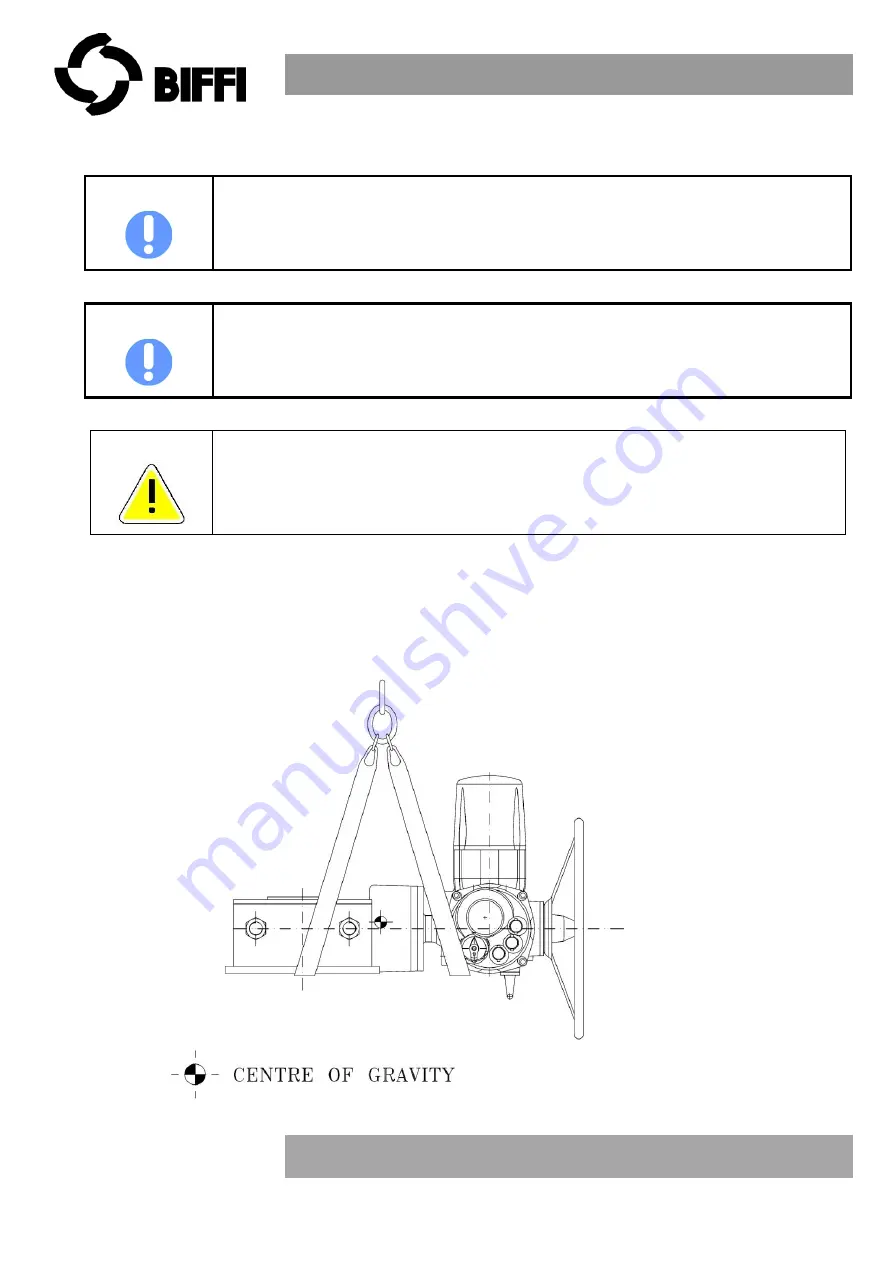 BIFFI WGR 100 Instructions And Operating Manual Download Page 10