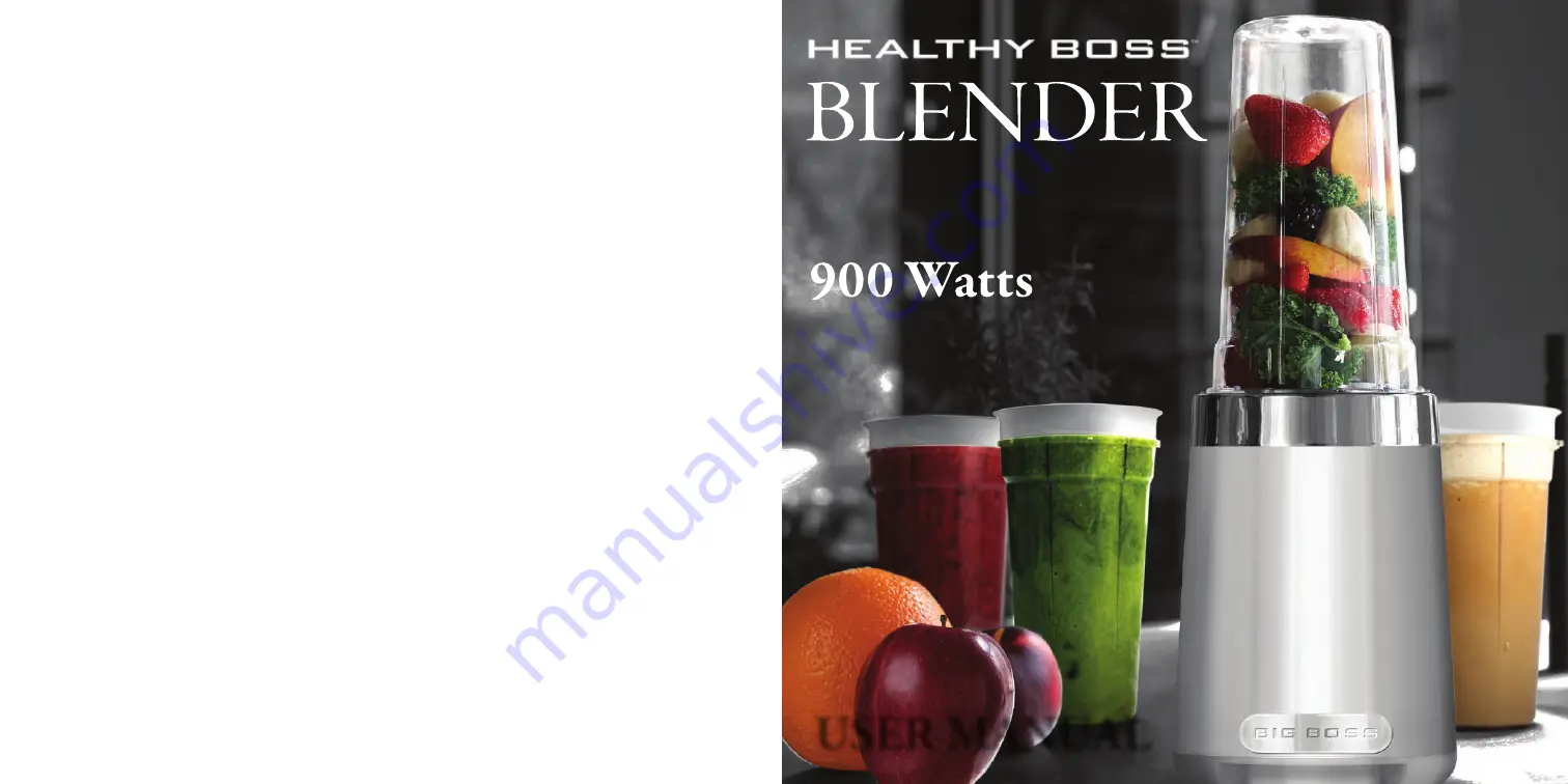 Big boss Healthy Boss 9510FENB Instructions Manual Download Page 9