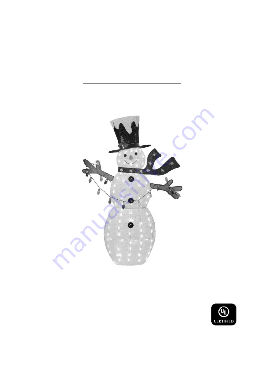 BIG LOTS STORES Lit SNOWMAN Operating And Safety Instructions Download Page 1