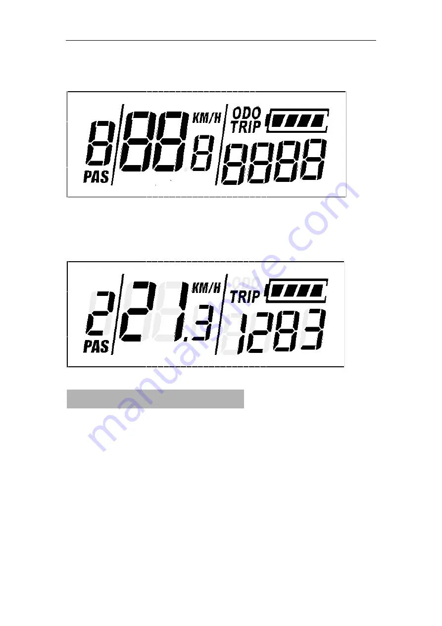 BIGSTONE C200-LCD Скачать руководство пользователя страница 6