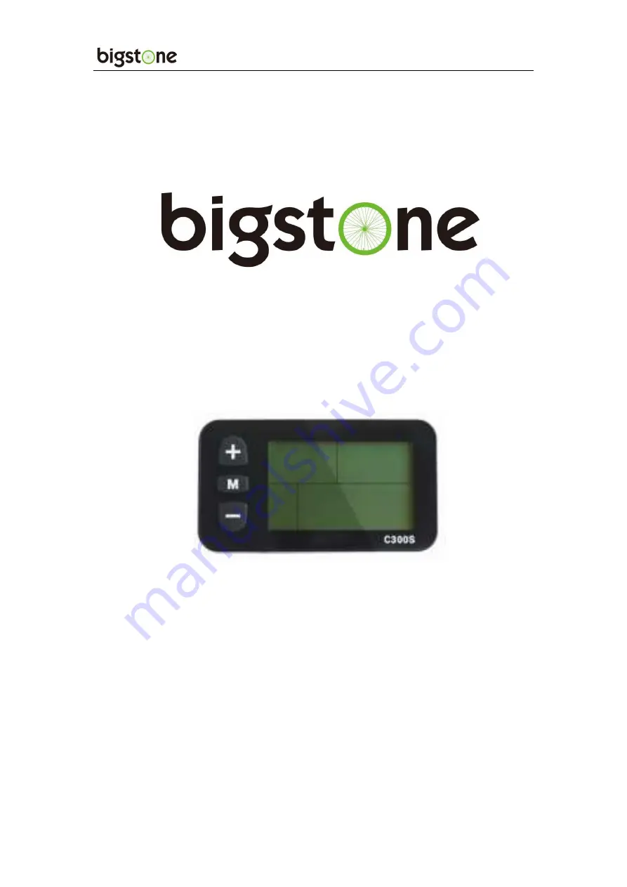 BIGSTONE C300S-LCD Скачать руководство пользователя страница 1