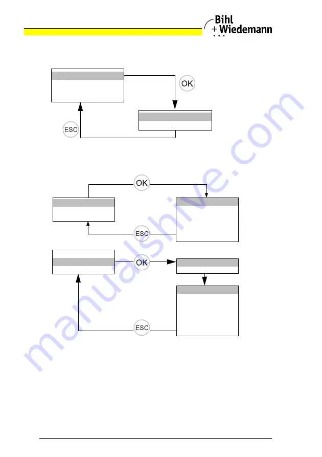 bihl+Wiedemann BWU3857 Скачать руководство пользователя страница 20