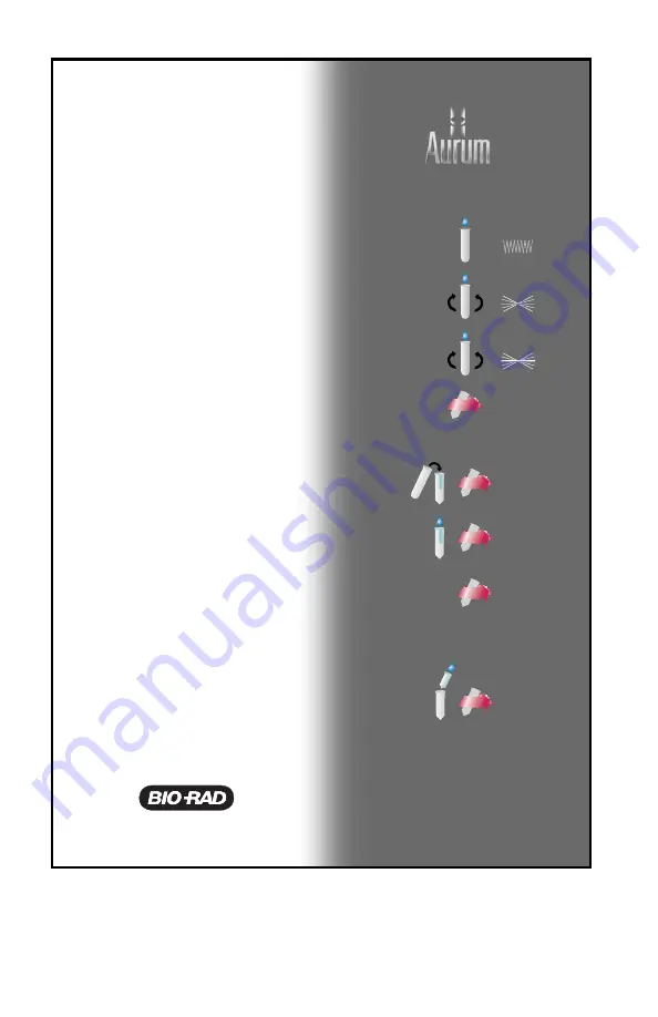 BIO RAD Aurum Plasmid Mini Kit Instruction Manual Download Page 13