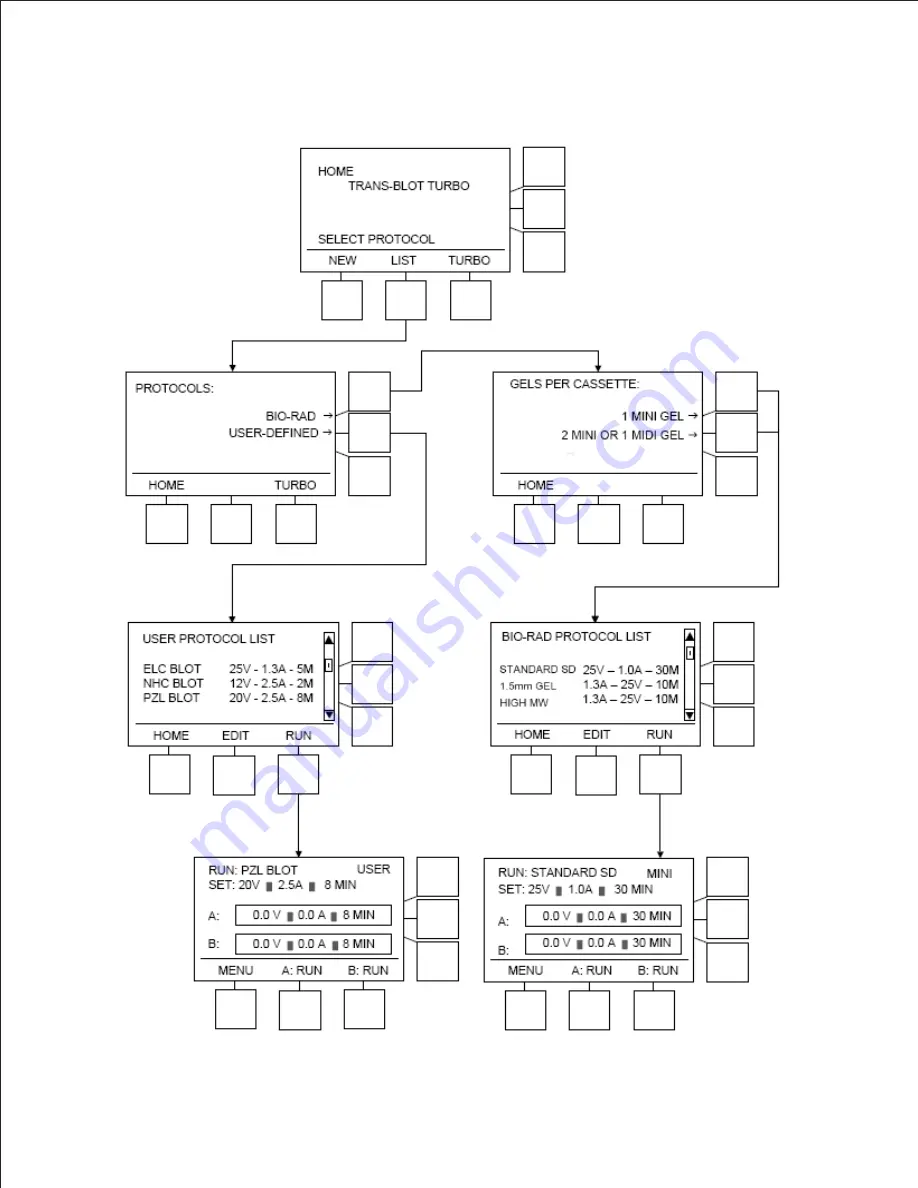 BIO RAD Trans-Blot Turbo Instruction Manual Download Page 33