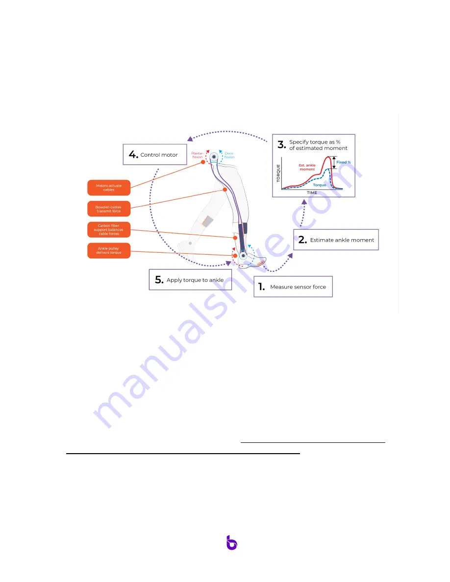 biomotum SPARK Скачать руководство пользователя страница 7