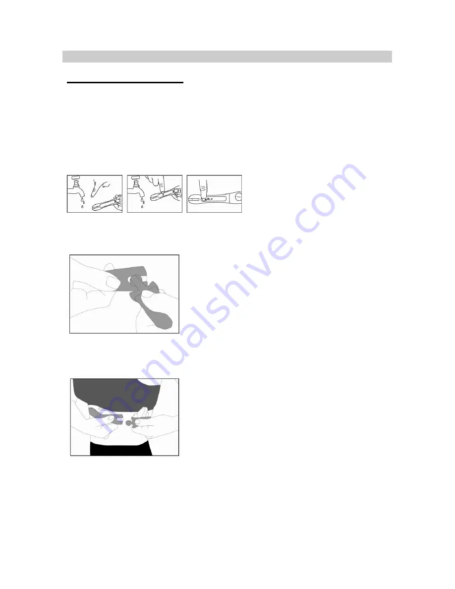 BIOS Fitness FP402 Скачать руководство пользователя страница 4