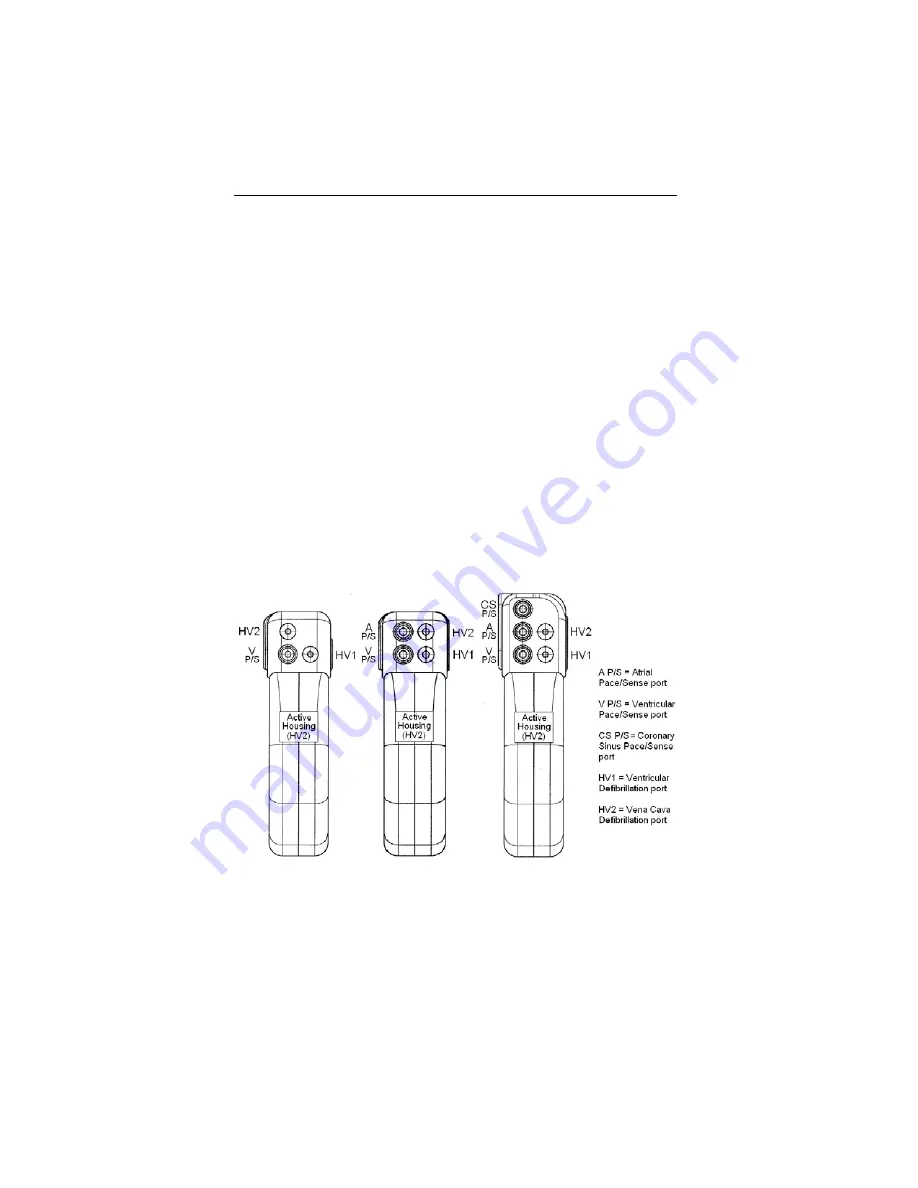 BIOTRONIK Lumax DR ICD Series Technical Manual Download Page 6