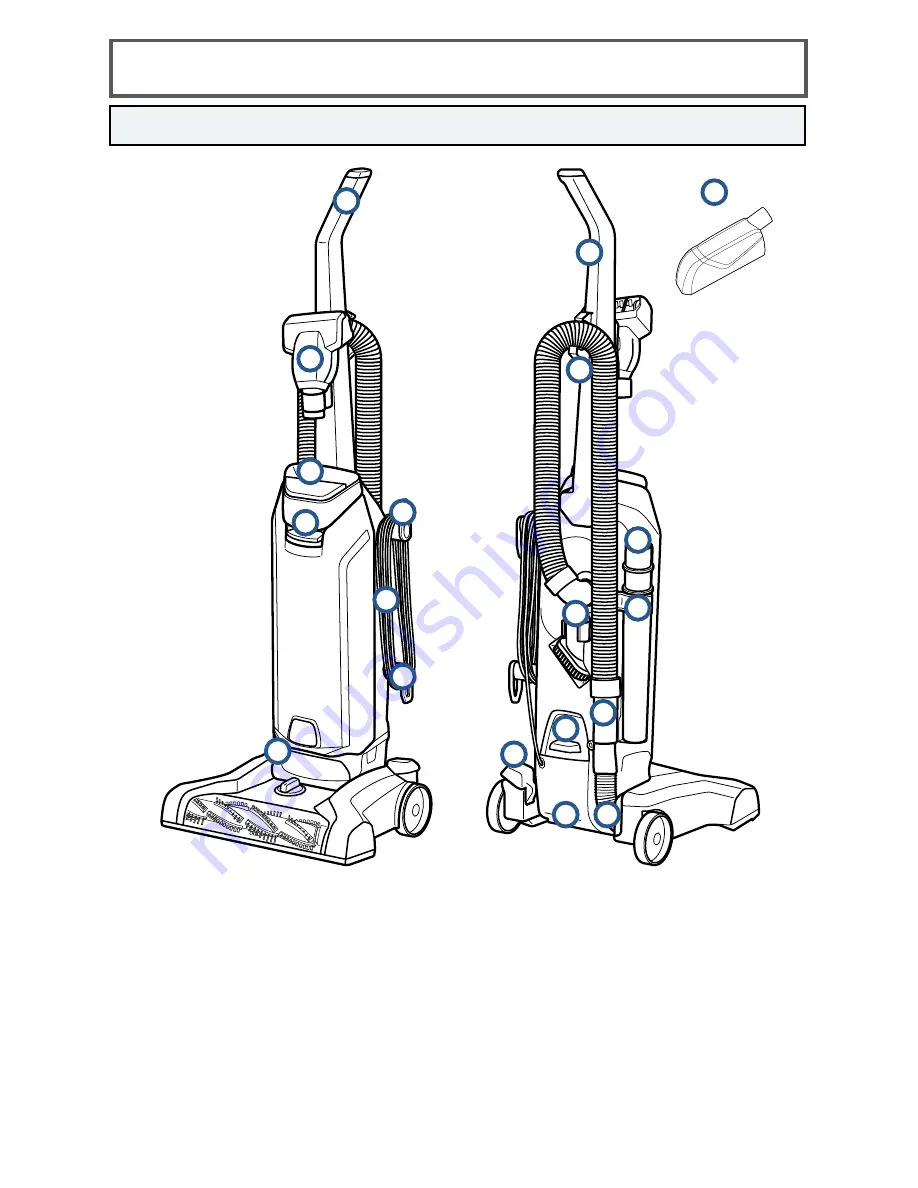 Bissell POWERLIFTER BAGGED 2019 Series Скачать руководство пользователя страница 4