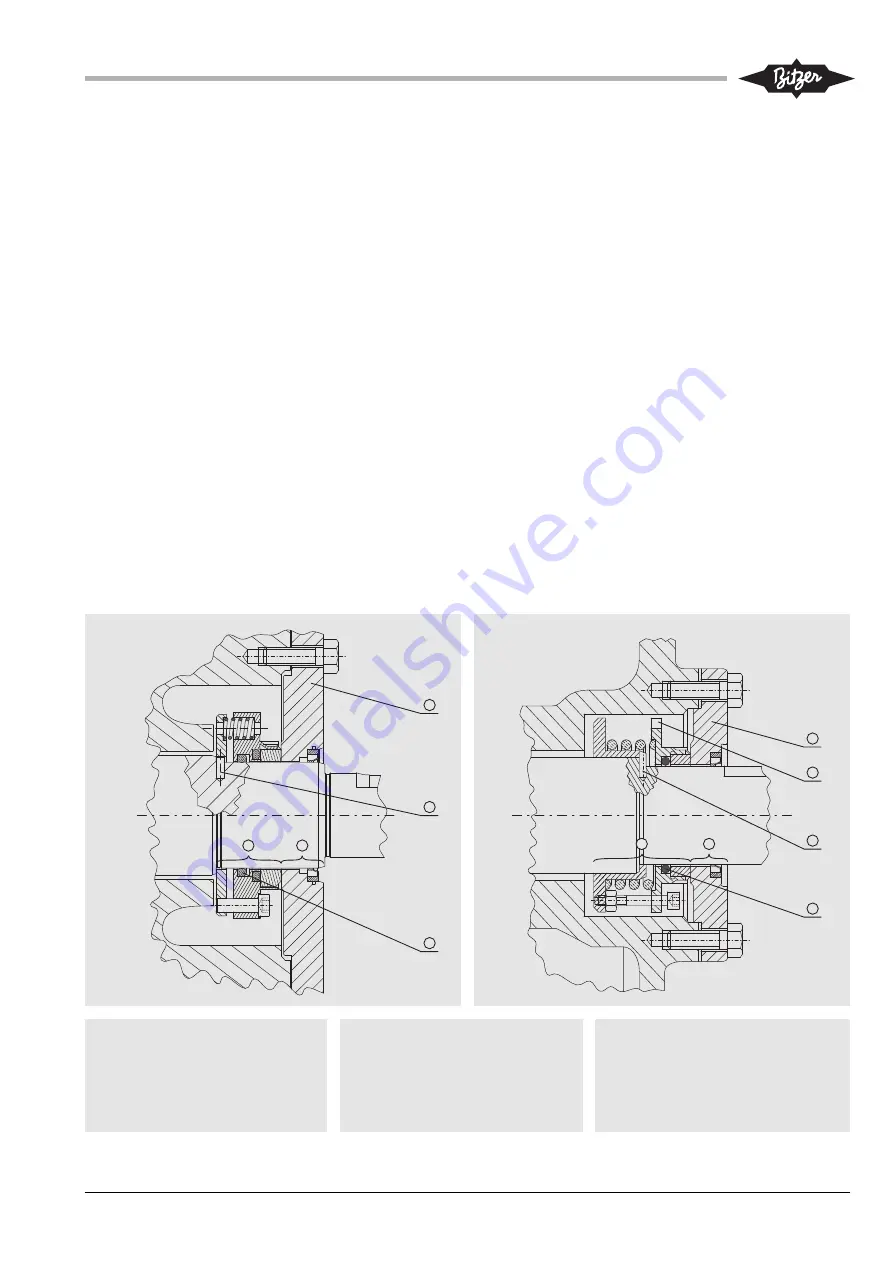 Bitzer 2T.2 Series Скачать руководство пользователя страница 3