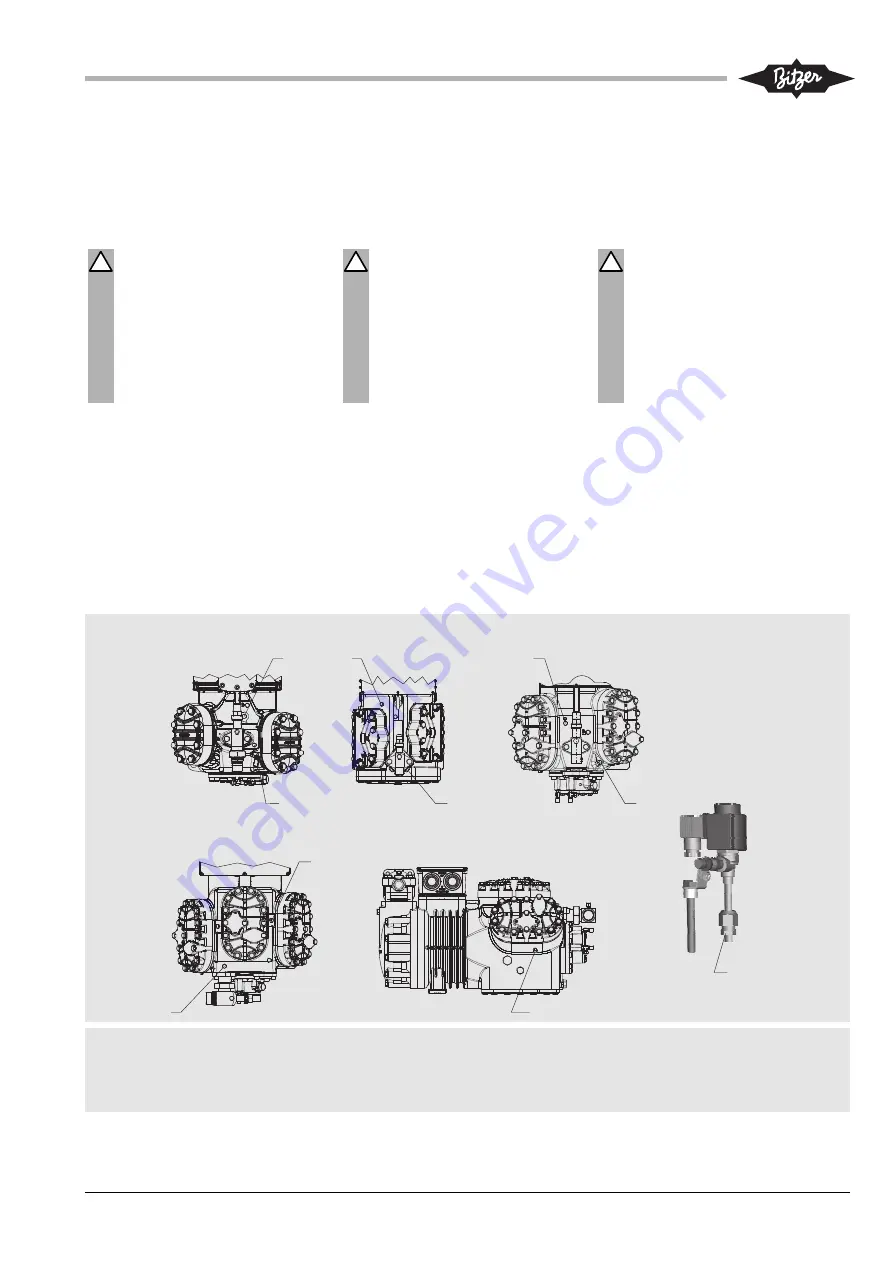 Bitzer CiC System Technical Information Download Page 11