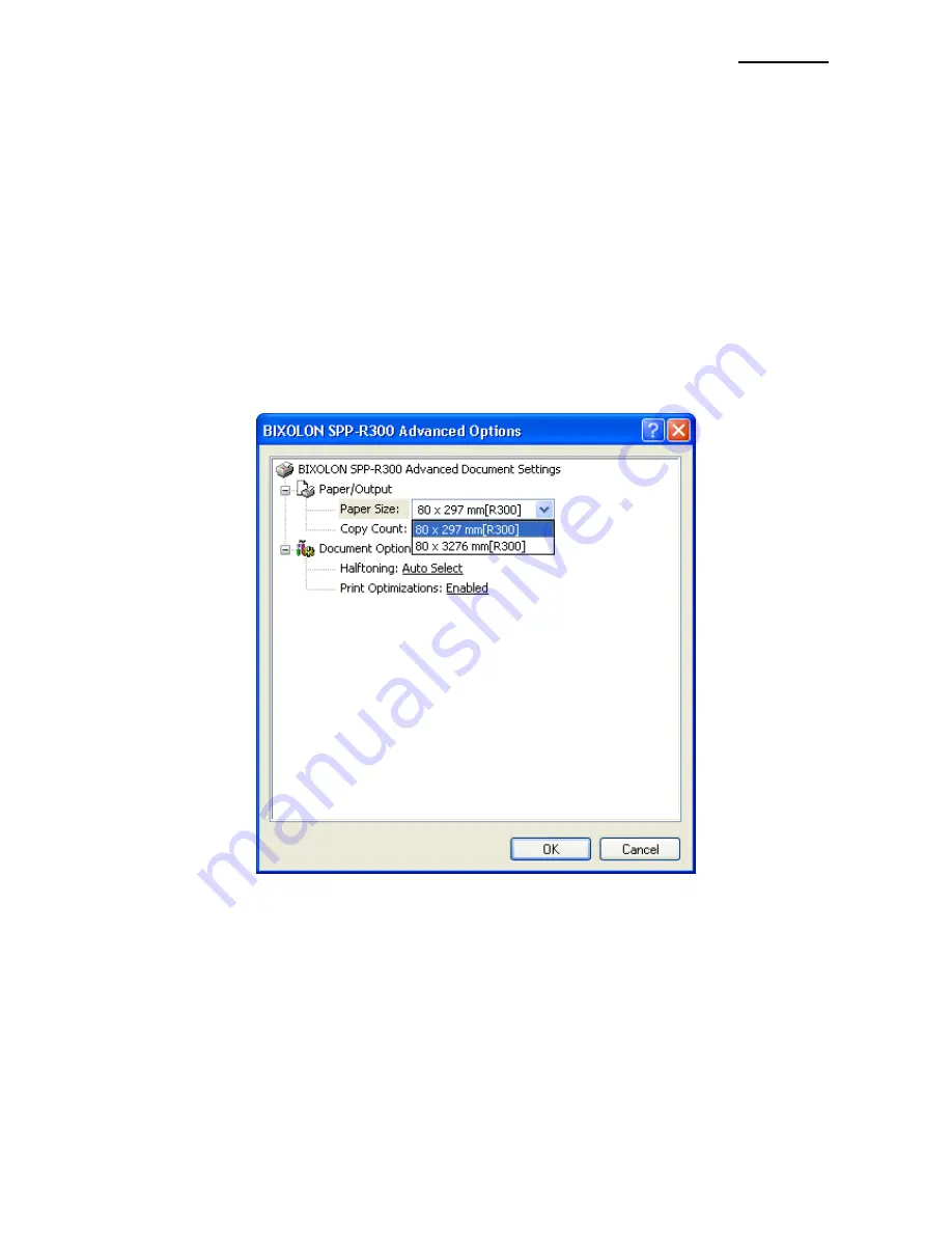 BIXOLON SPP-R300 Windows Driver Manual Download Page 30