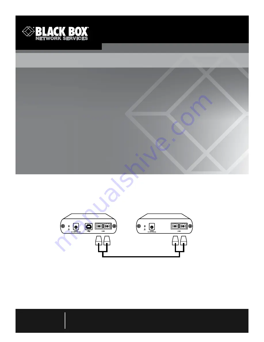 Black Box IC404A Скачать руководство пользователя страница 2