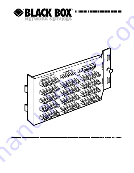 Black Box JPM1105A Manual Download Page 2