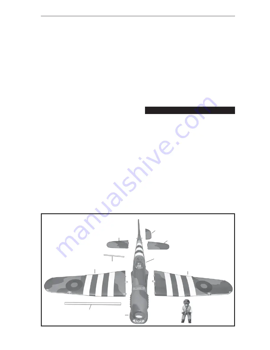 Black Horce Model HAWKER TYPHOON MK1B Instruction Manual Download Page 3