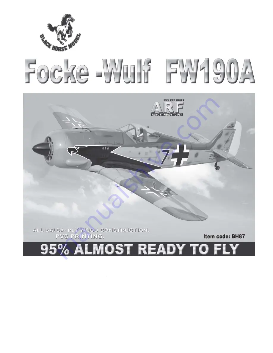 Black Horse Model Focke-Wulf FM 190A Instruction Manual Book Download Page 1