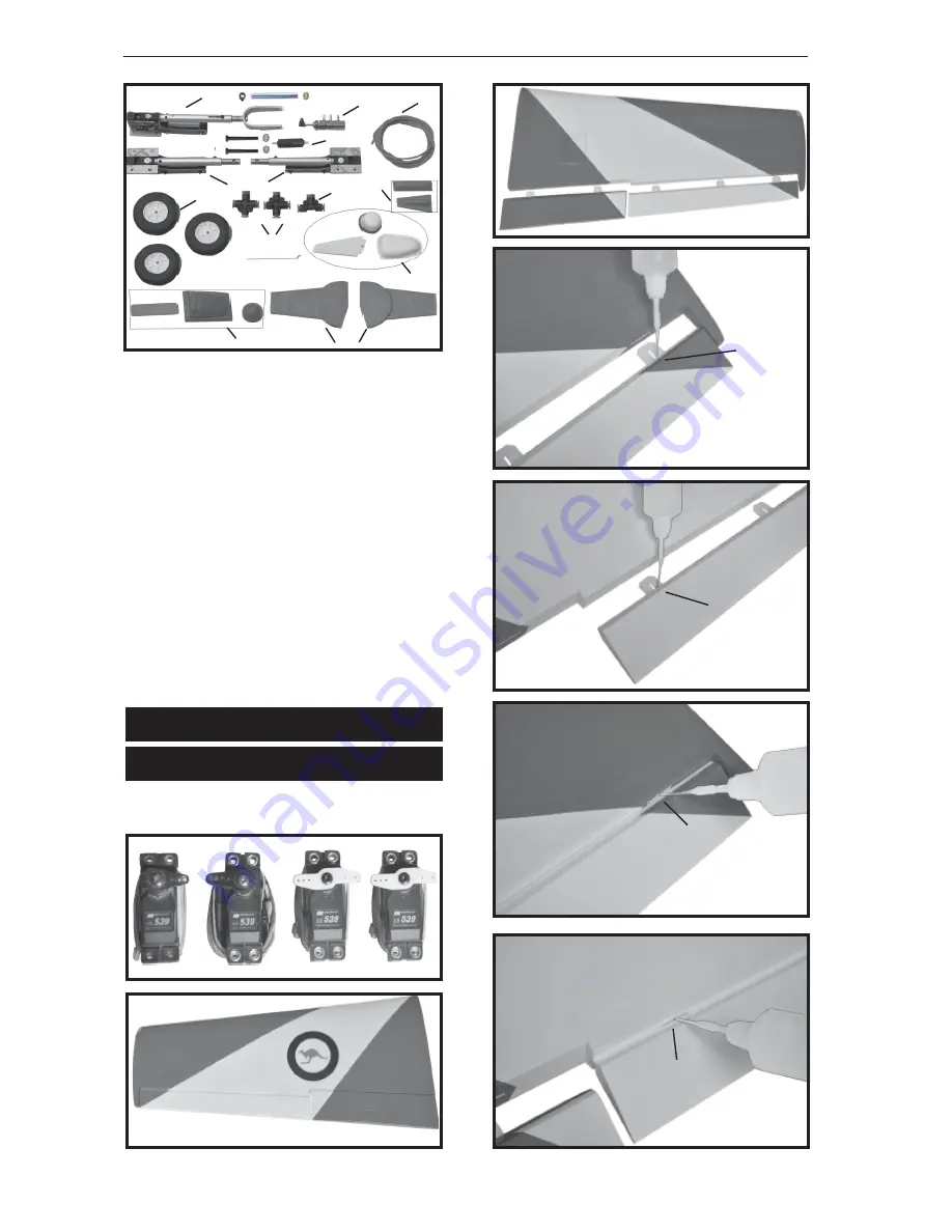 Black Horse Model P.C-9 BH76 Скачать руководство пользователя страница 4