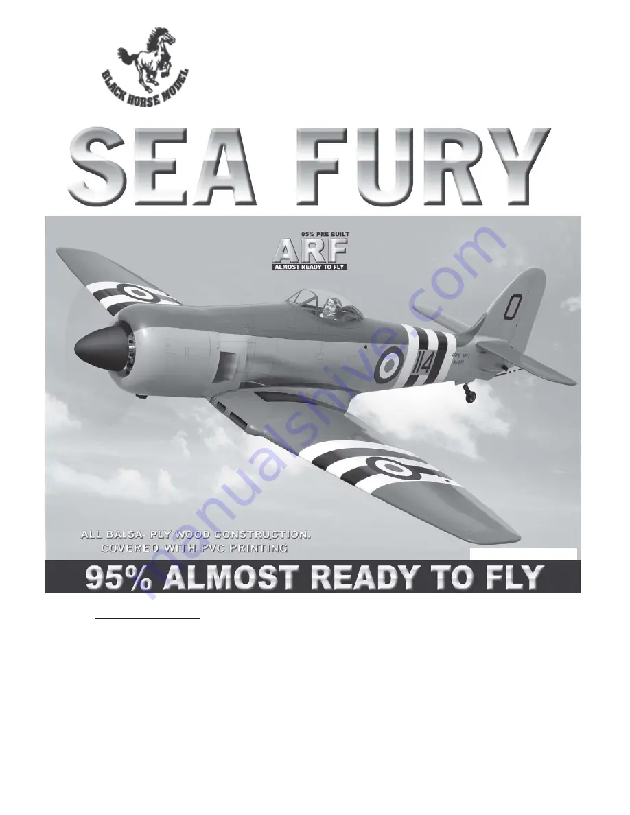 Black Horse Model Sea Fury BH102 Скачать руководство пользователя страница 1