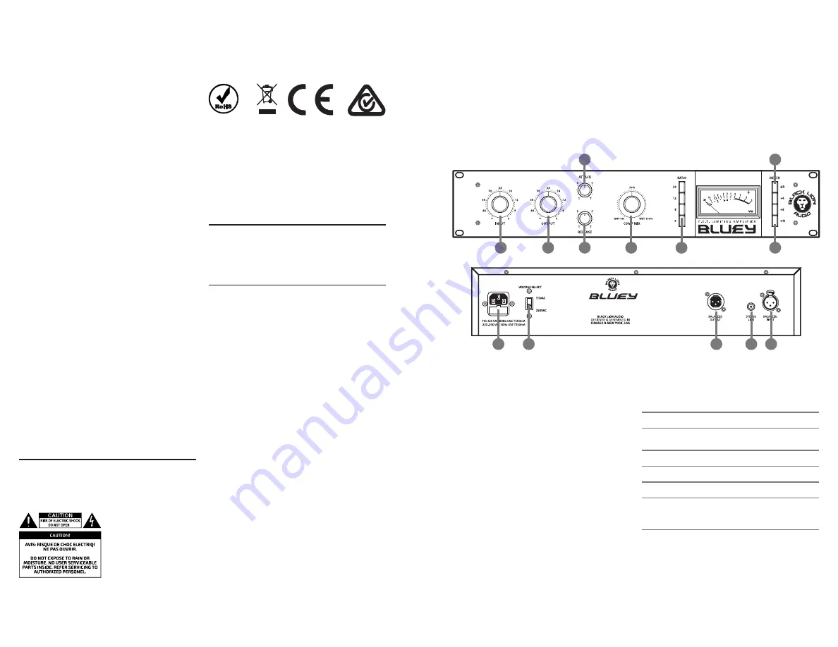 Black Lion Audio Bluey Owner'S Manual Download Page 2