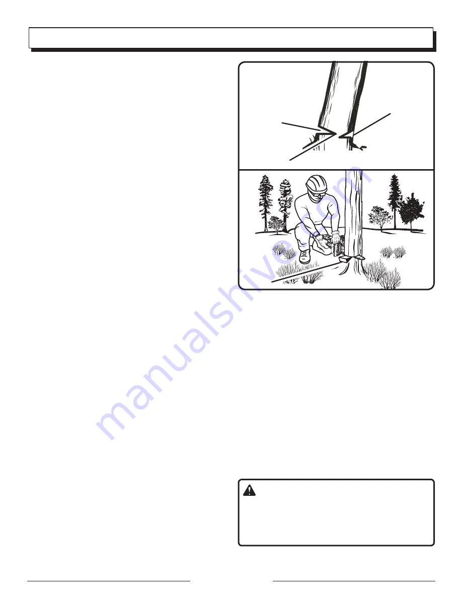 Black Max BM3716 Operator'S Manual Download Page 20