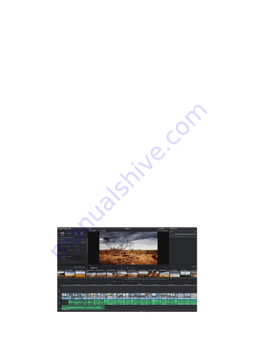 Blackmagicdesign Blackmagic Video assist Скачать руководство пользователя страница 260