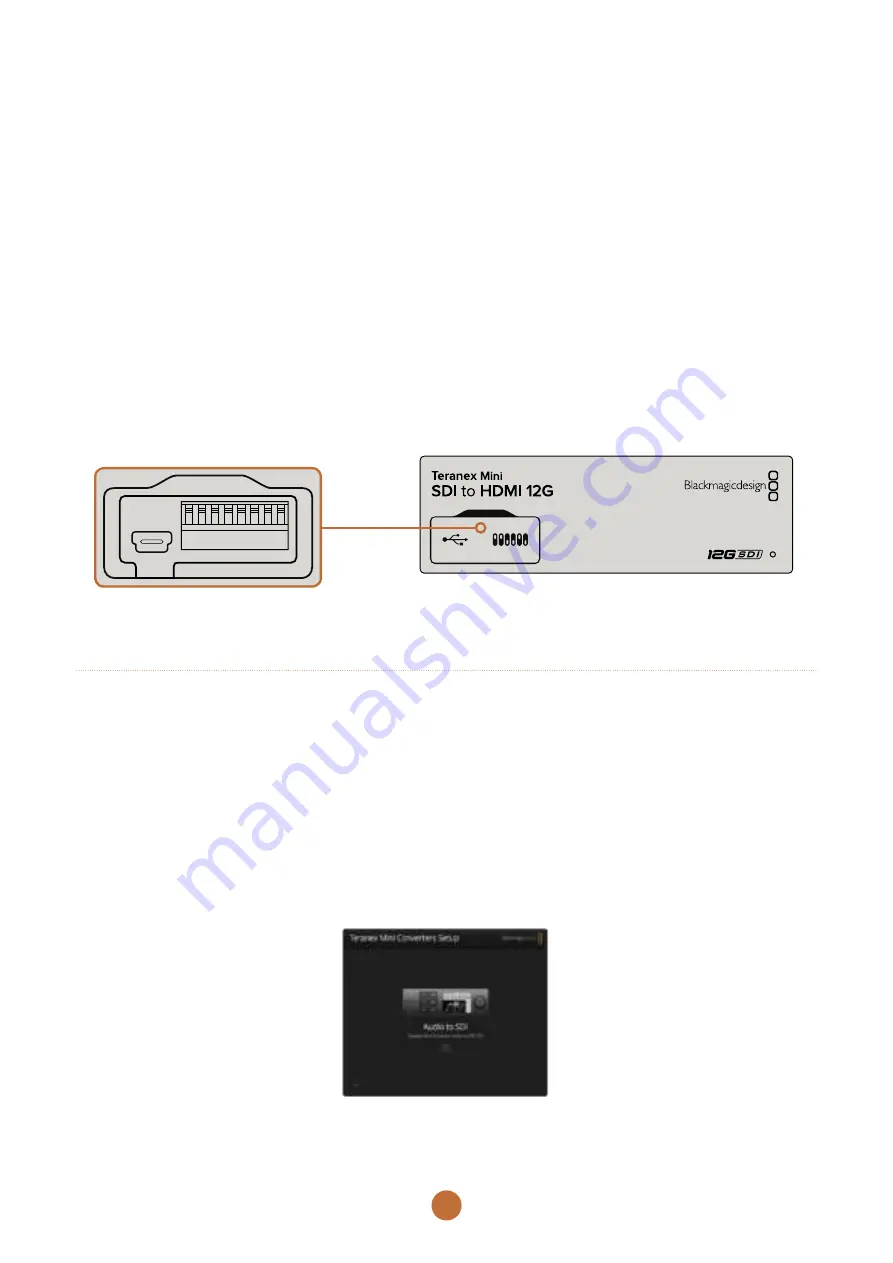 Blackmagicdesign Teranex Mini HDMI to SDI 12G Скачать руководство пользователя страница 111