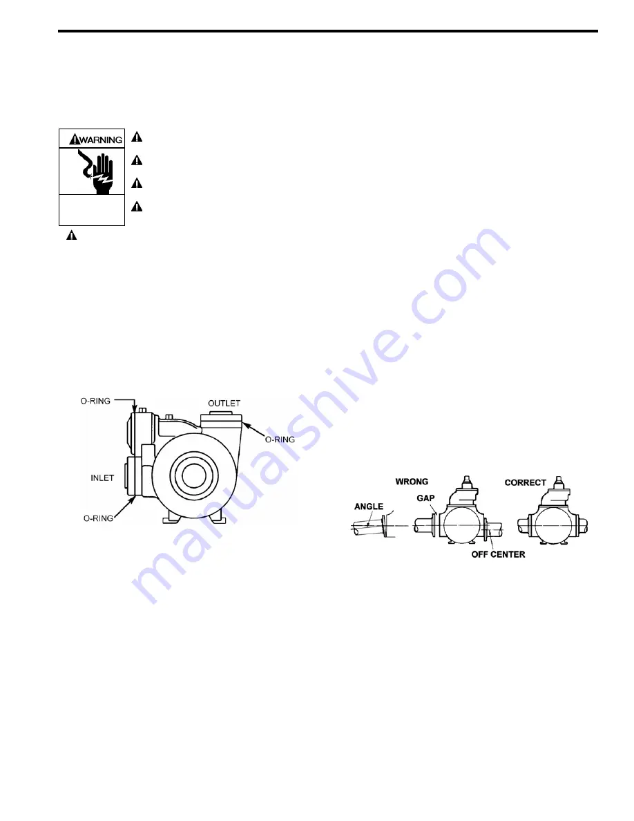 BLACKMER CRL2 Instructions Manual Download Page 3