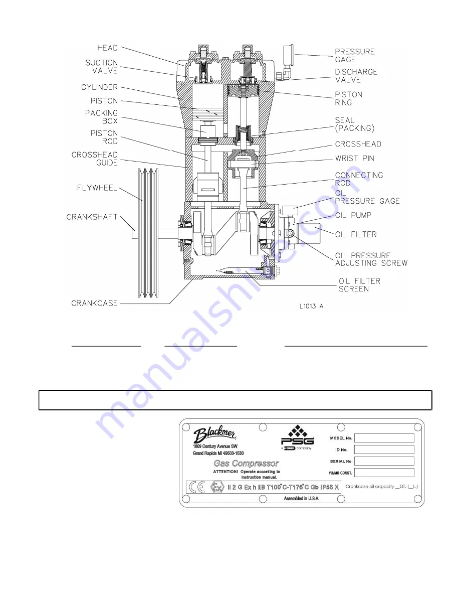 BLACKMER LB161B Installation, Operation And Maintenance Instructions Download Page 3