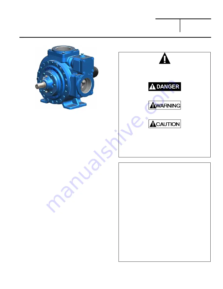 BLACKMER LGL3021A Instructions Manual Download Page 1