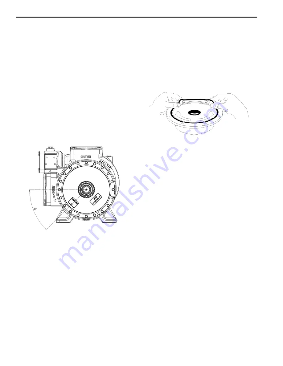 BLACKMER LGL3021A Скачать руководство пользователя страница 10