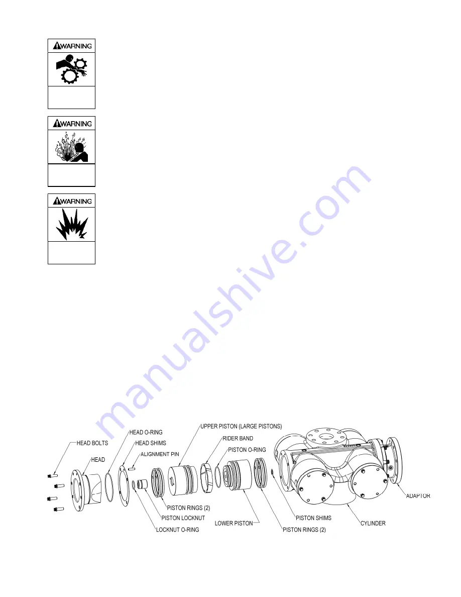 BLACKMER NGH1013 Installation, Operation And Maintenance Instructions Download Page 17