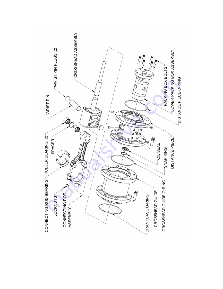 BLACKMER NGH1013 Installation, Operation And Maintenance Instructions Download Page 19