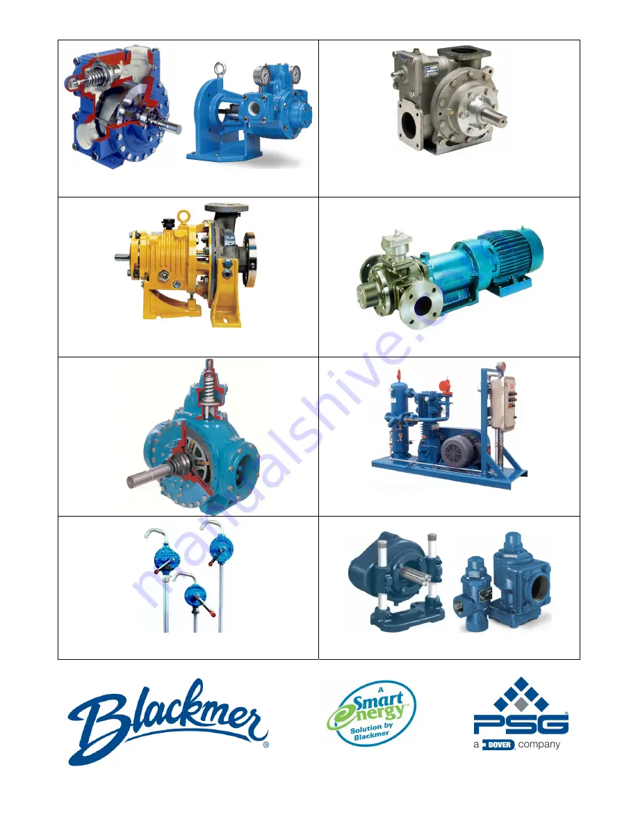 BLACKMER NGH1013 Installation, Operation And Maintenance Instructions Download Page 32