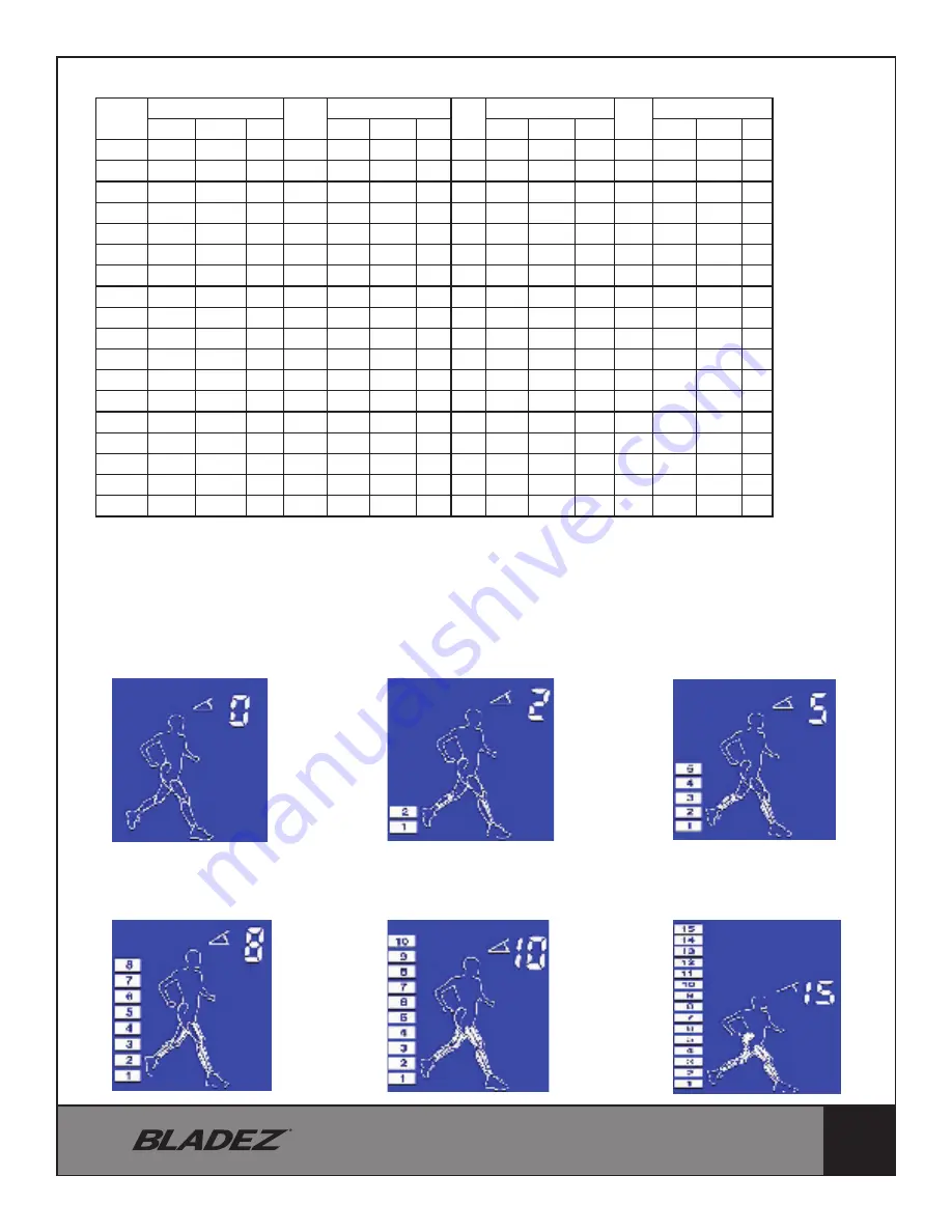 BLADEZ T500i Owner'S Manual Download Page 23