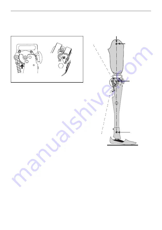 Blatchford ESK+ Manual Knee Lock Скачать руководство пользователя страница 43