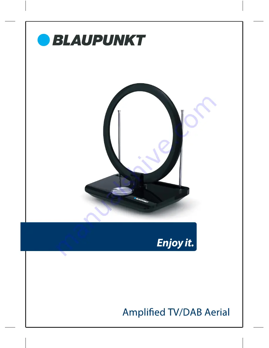 Blaupunkt 325833 Скачать руководство пользователя страница 1