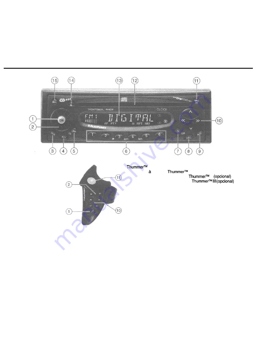 Blaupunkt ALASKA RDM 168 Скачать руководство пользователя страница 2