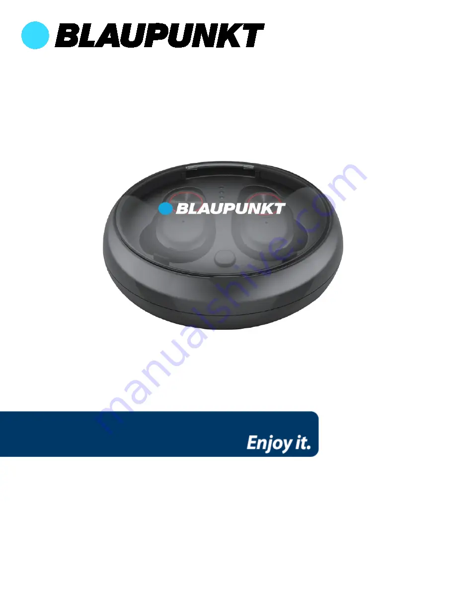 Blaupunkt BLP4740 User Manual Download Page 1