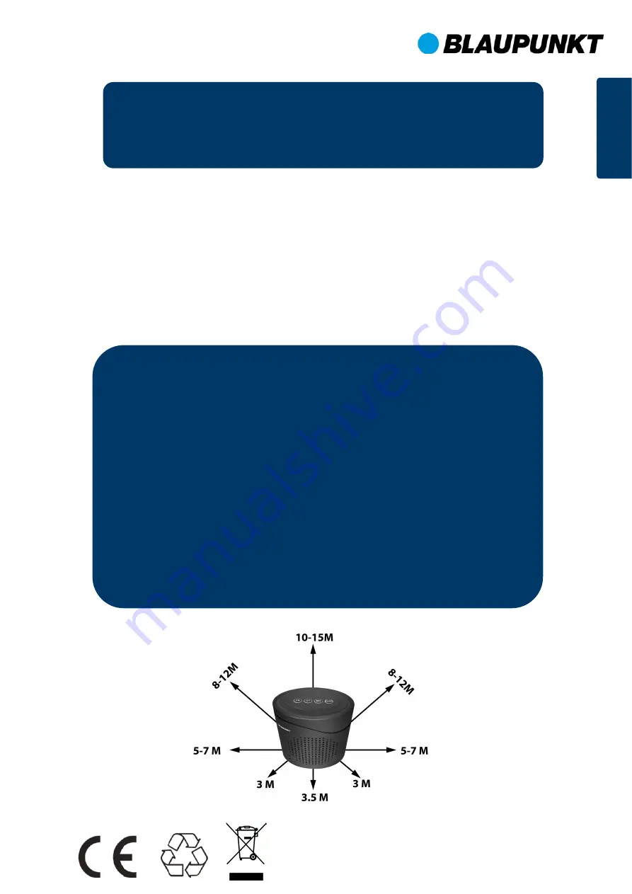 Blaupunkt ISD-RG1200 Manual Download Page 13