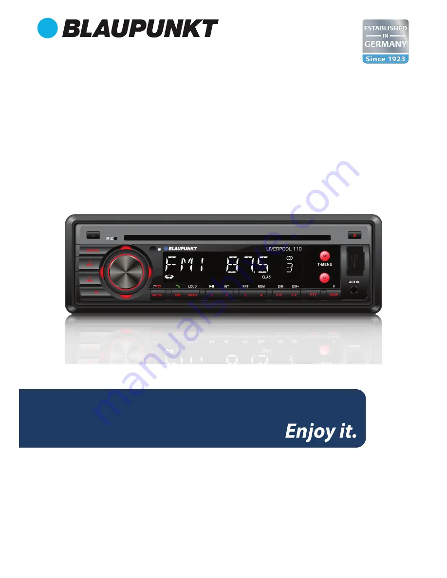 Blaupunkt LIVERPOOL 110 Скачать руководство пользователя страница 1