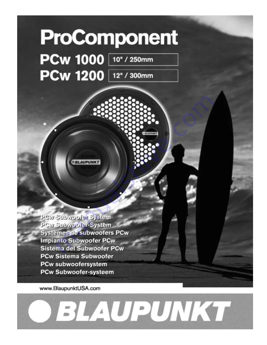 Blaupunkt ProComponent PCw 1000 Скачать руководство пользователя страница 1