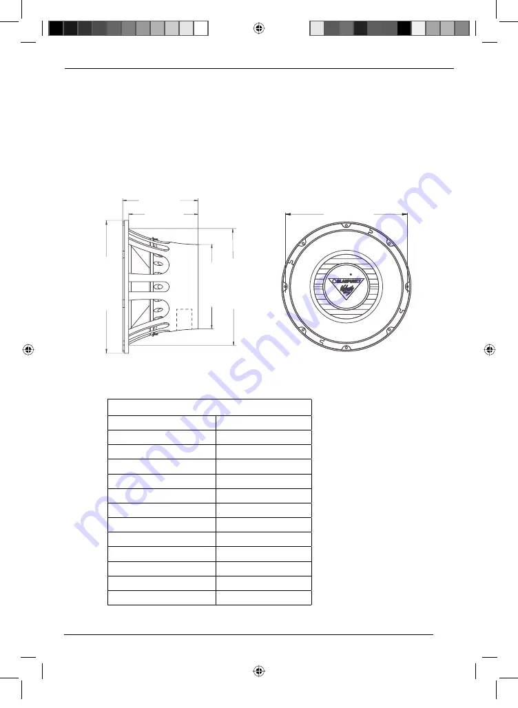 Blaupunkt VPw 1200 Pro Quick Start Manual Download Page 21