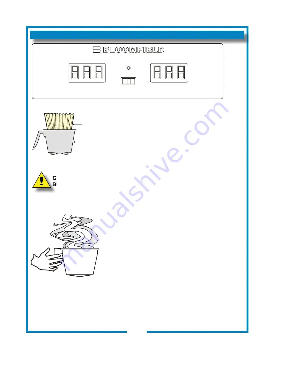 Bloomfield 8790 Скачать руководство пользователя страница 10