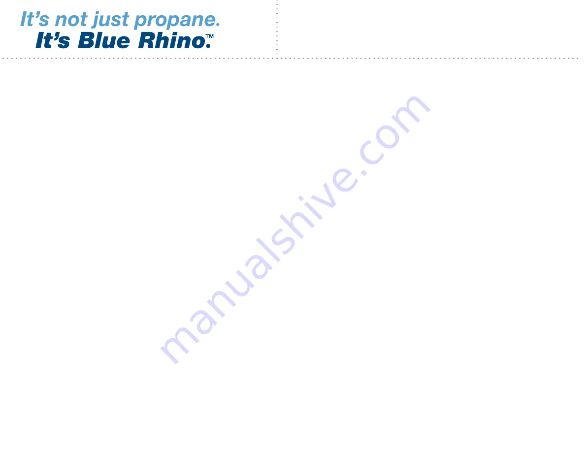 Blue Rhino 22000 Series Owner'S Manual Download Page 3