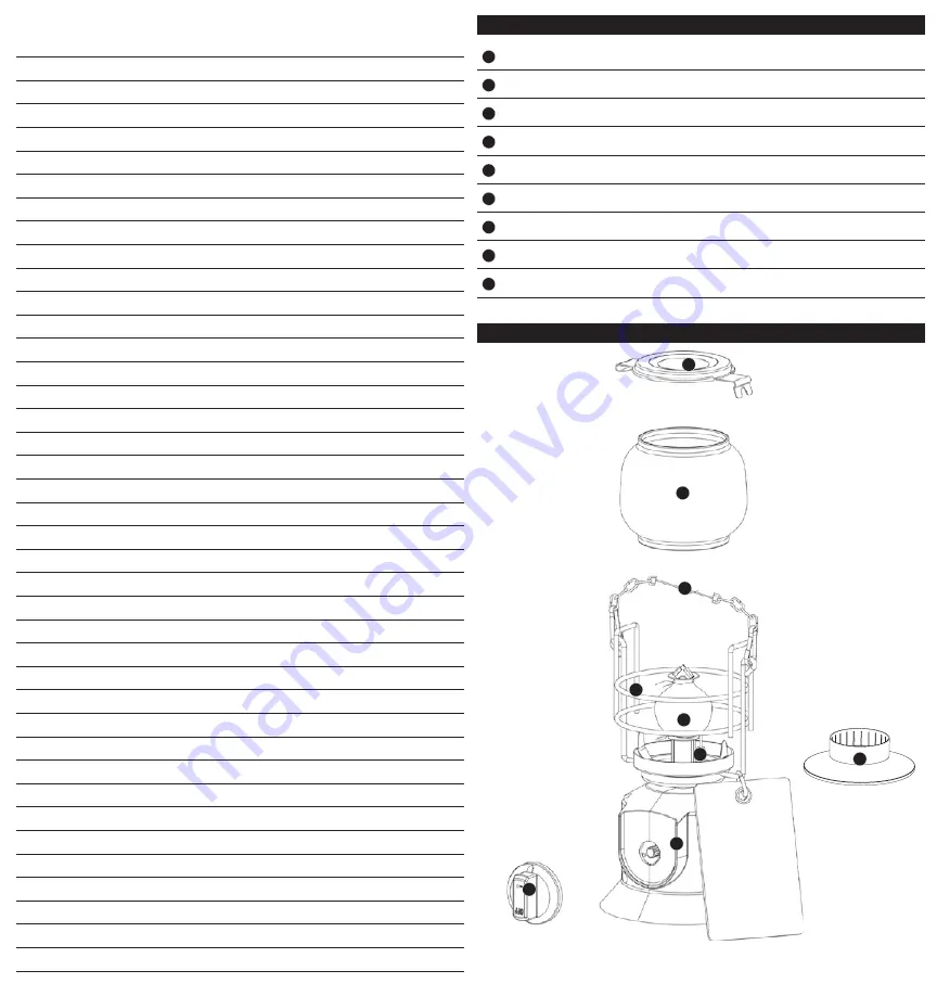 Blue Rhino OUTDOOR LP GAS LANTERN GLL905W Owner'S Manual Download Page 5