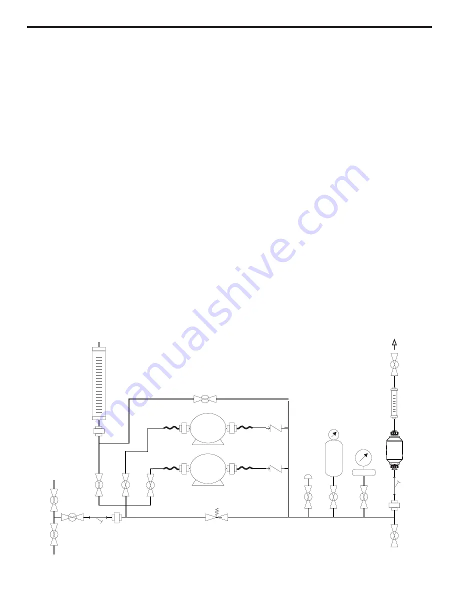 Blue-White industries ProSeries Chem-Feed CFPS-1 Manual Download Page 9