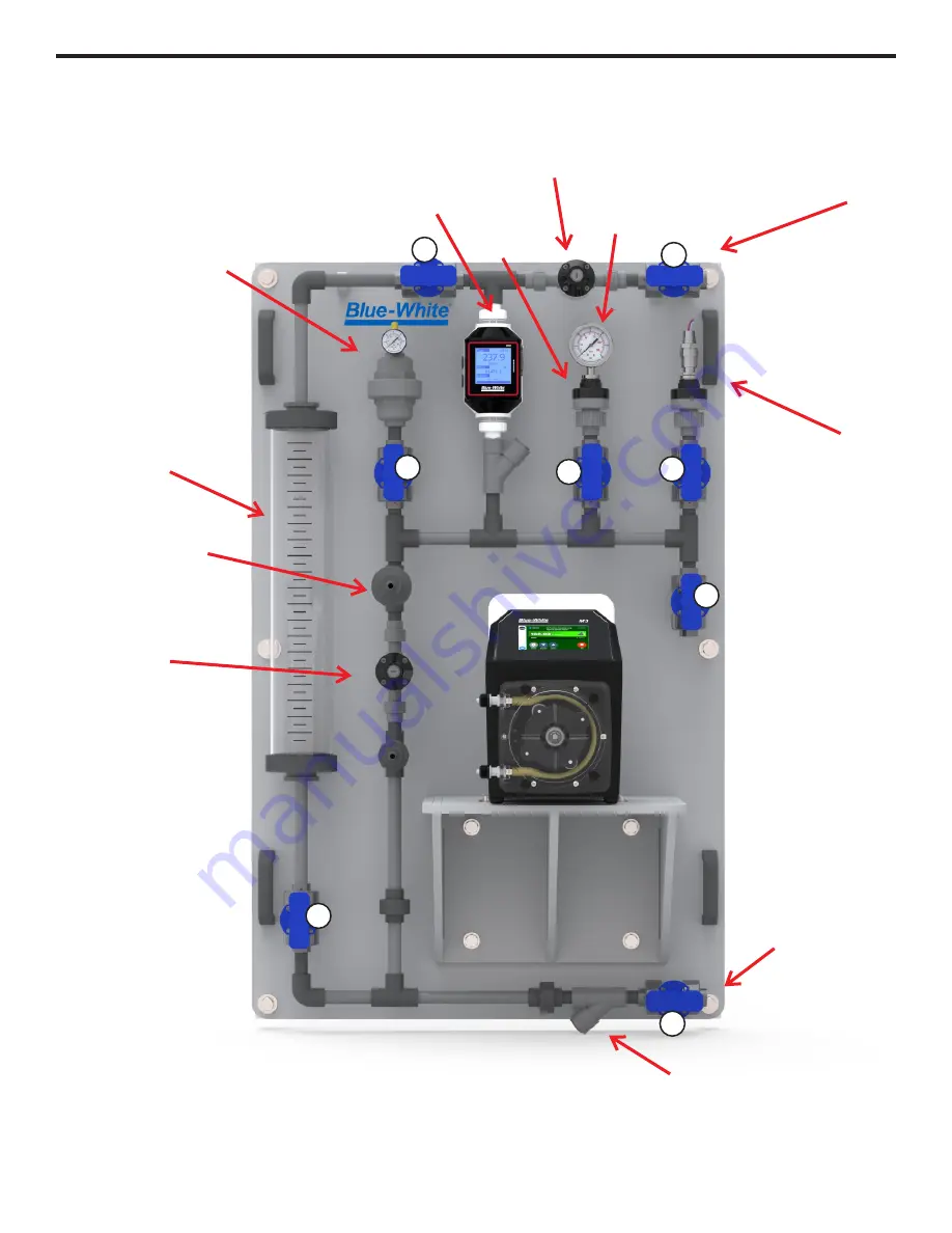 Blue-White CHEM-FEED CFWS Series Скачать руководство пользователя страница 9