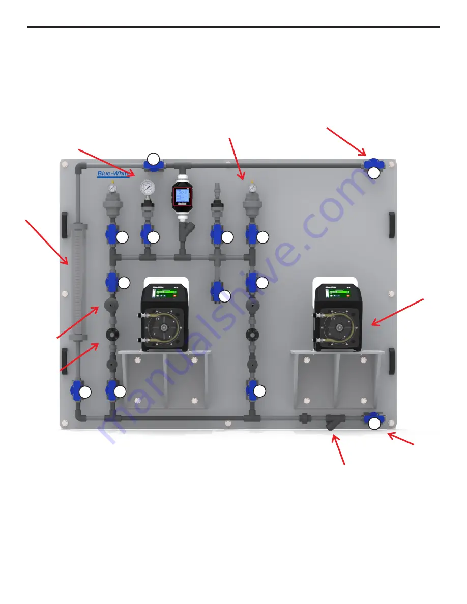 Blue-White CHEM-FEED CFWS Series Operating Manual Download Page 11